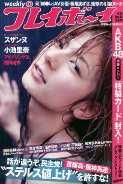 长风渡电视剧全集免费播放
